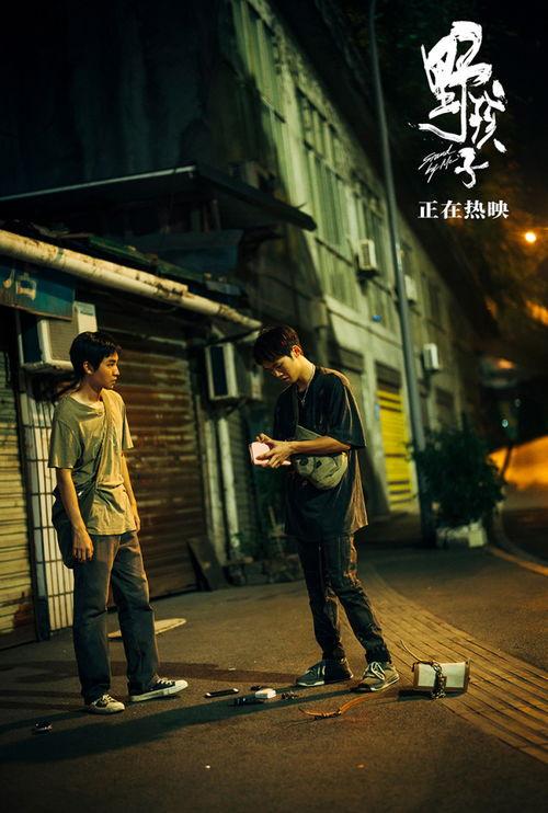 野孩子电影在线观看,探寻自然与成长的奇幻之旅  第3张